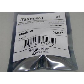 TSXPLP01 Premium PLC Battery