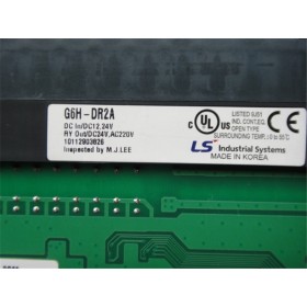 G6H-DR2A LS MASTER K200S PLC digital I/O hybrid module new in box